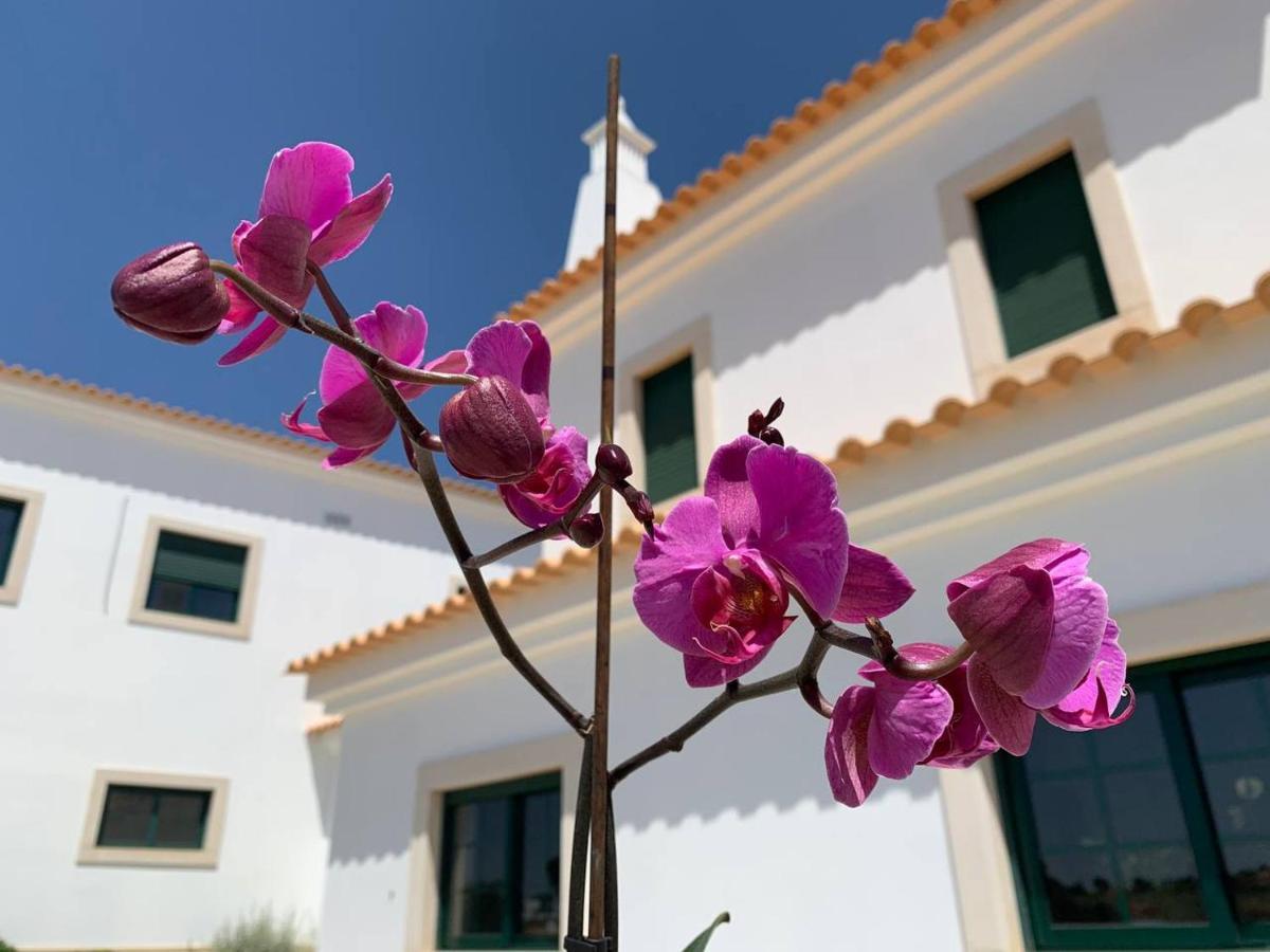 Casa Mineira Guest House Ferreiras Buitenkant foto